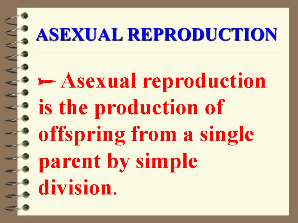 ASEXUAL REPRODUCTION  Asexual reproduction is the production of offspring from a single parent